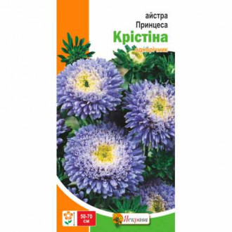 Айстра Принцеса Крістіна голуба Яскрава зображення 5