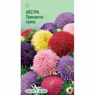 Айстра Принцеса, суміш забарвлень Елітсорт зображення 2