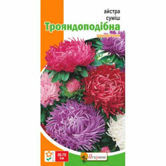 Айстра трояндоподібна, суміш забарвлень Яскрава зображення 6