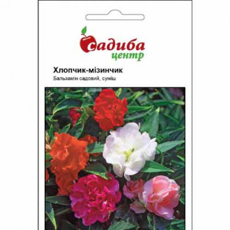 Бальзамін Хлопчик Мізинчик, суміш забарвлень Садиба центр зображення 1