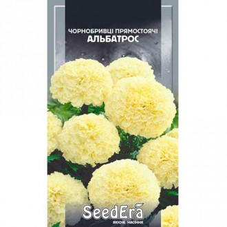 Бархатцы Альбатрос Seedera рисунок 6