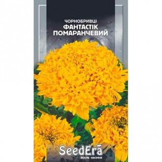 Чорнобривці Фантастік помаранчеві Seedera зображення 3