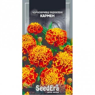 Бархатцы Кармен Seedera рисунок 6