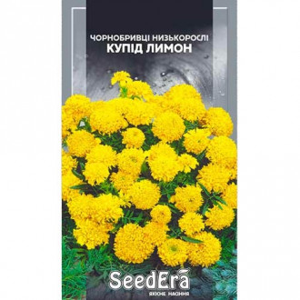 Бархатцы Купид лимон Seedera рисунок 4