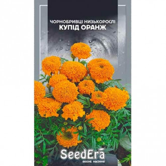 Бархатцы Купид оранж Seedera рисунок 1