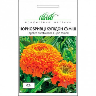 Чорнобривці Купідон, суміш насіння Професійне насіння зображення 4