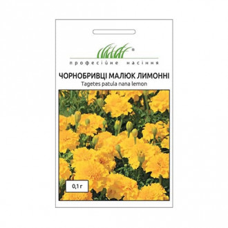 Чорнобривці розлогі Малюк лимонні Професійне насіння зображення 1