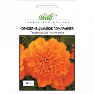 Чорнобривці Малюк помаранчеві Професійне насіння зображення 3