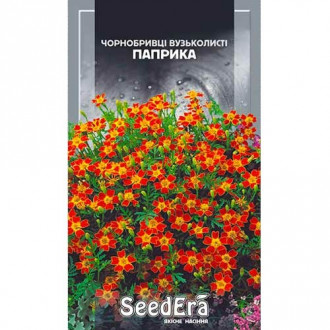 Бархатцы Паприка Seedera рисунок 3