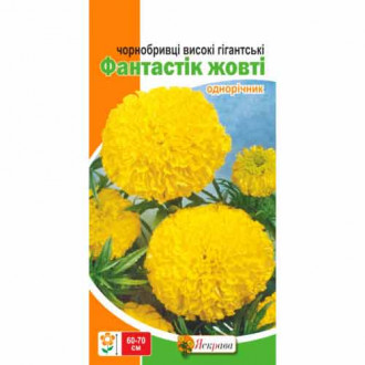 Чорнобривцi високі гігантські Фантастік жовтий Яскрава зображення 4