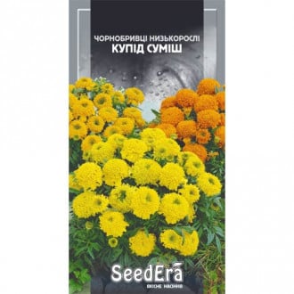 Чорнобривці високорослі, суміш Seedera зображення 4