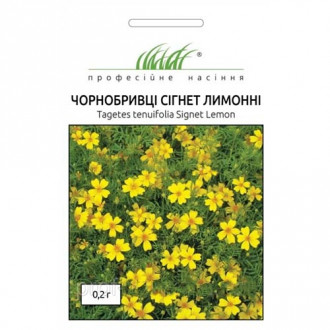 Чорнобривці Сігнет лимонні Професійне насіння зображення 4