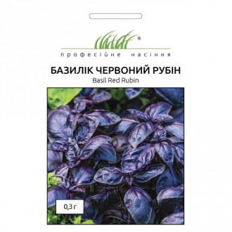 Базилік Червоний рубін Професійне насіння зображення 1