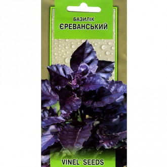 Базилик Ереванский Vinel seeds рисунок 3