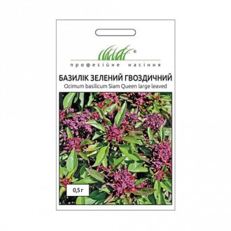 Базилік Гвоздичний Професійне насіння зображення 6
