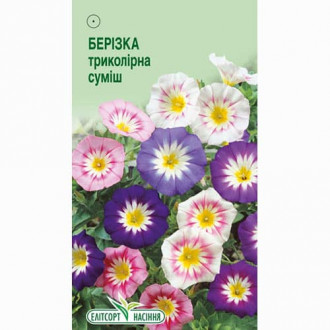 Берізка триколірна, суміш забарвлень Елітсорт зображення 1