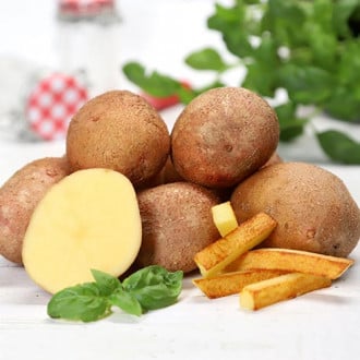 Картопля Удача зображення 1