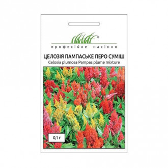 Целозія периста Пампаське перо, суміш забарвлень зображення 4