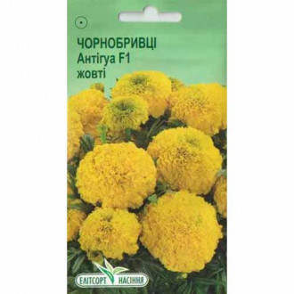 Бархатцы Антигуа желтые Элитсорт рисунок 2