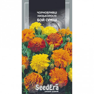 Чорнобривці Бой, суміш забарвлень Seedera зображення 2