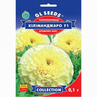 Чорнобривці крупноквіткові Кіліманджаро білі F1 GL seeds зображення 4