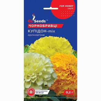 Чорнобривці крупноквіткові Купідон GL seeds зображення 4