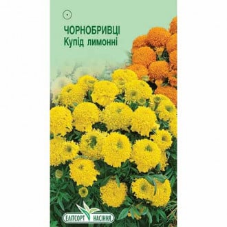 Чорнобривці Купід лимонні Елітсорт зображення 5