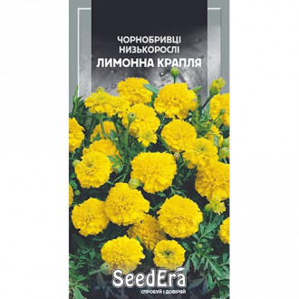 Чорнобривці Лимонна крапля Seedera зображення 1