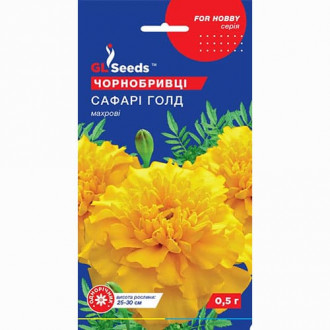 Чорнобривці махрові Сафарі GL seeds зображення 3