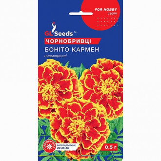 Чорнобривці низькорослі Боніто Кармен GL seeds зображення 5