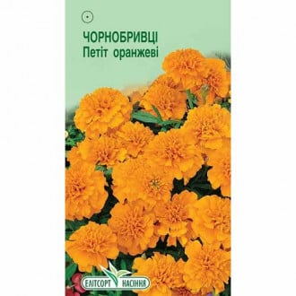 Чорнобривці Петіт оранжеві Елітсорт зображення 5