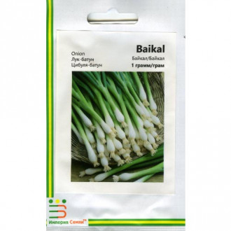 Цибуля батун Байкал Імперія насіння зображення 8