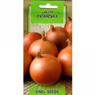 Цибуля Луганська Vinel seeds зображення 6