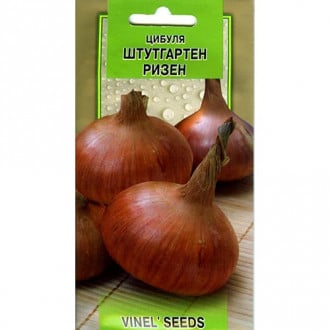 Цибуля Штутгартен різен Vinel seeds зображення 10