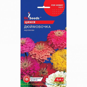 Цинія Дюймовочка GL seeds зображення 2