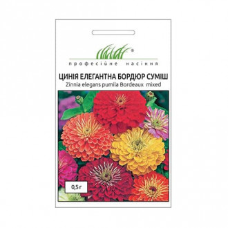 Цинія Бордюр, суміш забарвлень Професійне насіння зображення 1