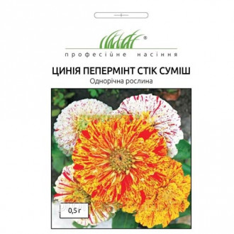Цинія Пепермінт стік, суміш забарвлень Професійне насіння зображення 4