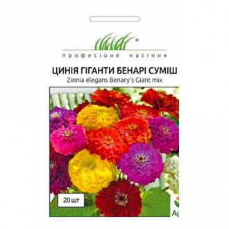 Цинія Гіганти Бенарі, суміш забарвлень Професійне насіння зображення 2