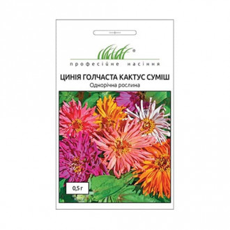 Цинія голчаста Кактус, суміш забарвлень Професійне насіння зображення 2