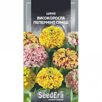 Цинія Пепермінт, суміш забарвлень Seedera зображення 5