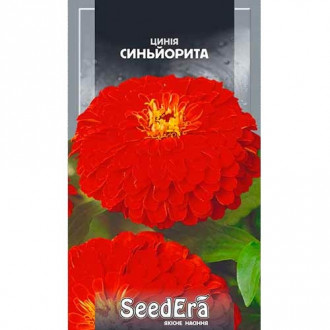 Цинія Синьорита Seedera зображення 6