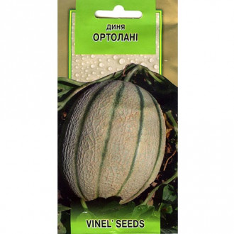 Диня Ортолані Vinel seeds зображення 2