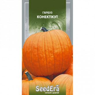 Гарбуз Конектікут Seedera зображення 3