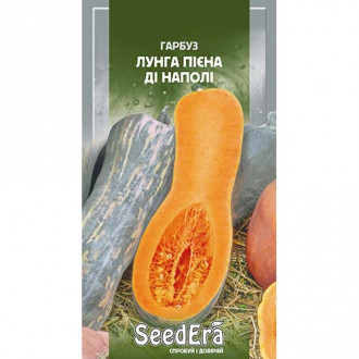 Тыква Лунга Пиена ди Наполи Seedera рисунок 5