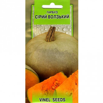 Гарбуз Сірий Волзький 92 Vinel seeds зображення 6