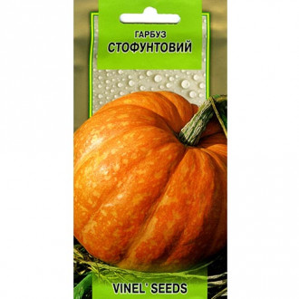 Тыква Стофунтовая Vinel seeds рисунок 6