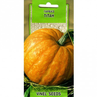 Тыква Титан Vinel seeds рисунок 4