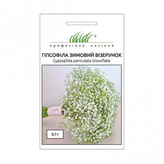 Гіпсофіла Зимовий візерунок Професійне насіння зображення 1