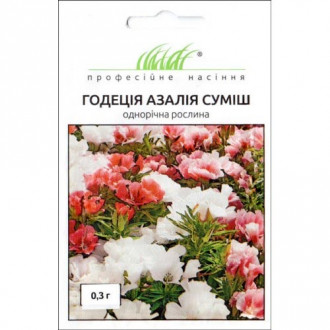 Годеція Азалія, суміш забарвлень Професійне насіння зображення 5