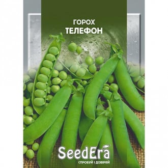 Горох Телефон Seedera, семена рисунок 4